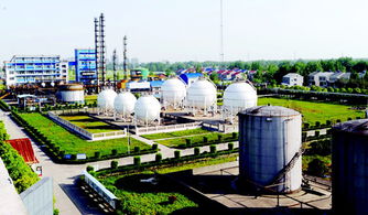 潜江聚力促发展，强招商打造新能源新材料产业新高地