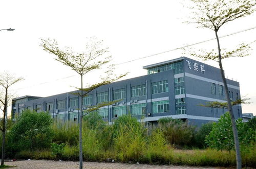 惠东高端产业园投资超20亿，打造区域经济发展新引擎